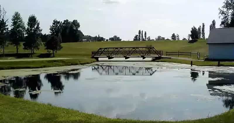 বার্নিং ট্রি ক্লাব, মার্কিন যুক্তরাষ্ট্র