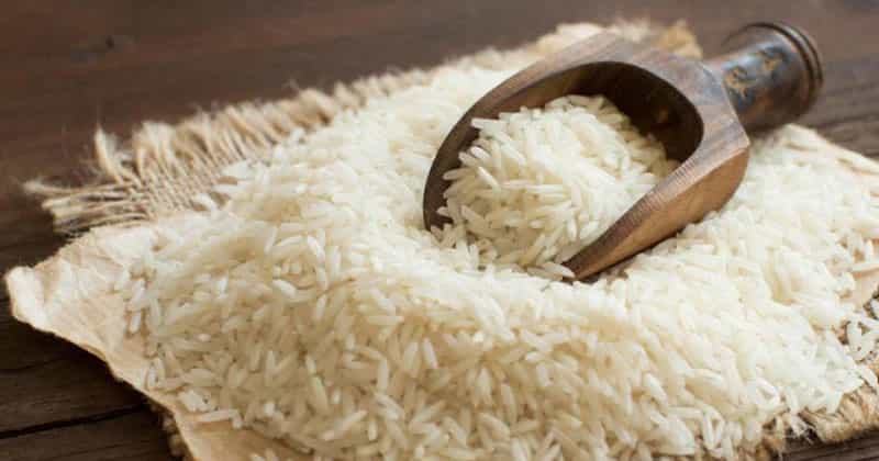 চাল