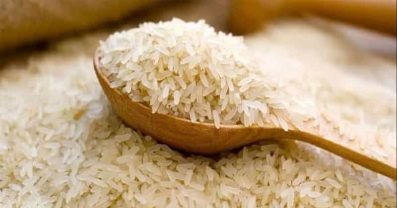 চাল