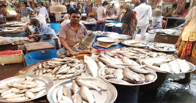 মাছ