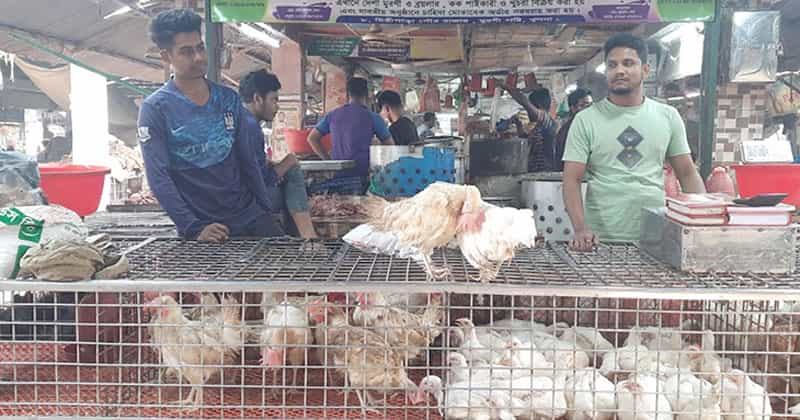 মুরগি