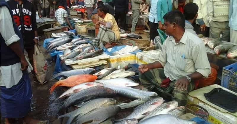 মাছ