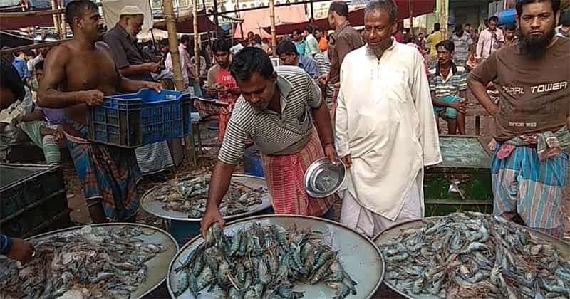 মাছ