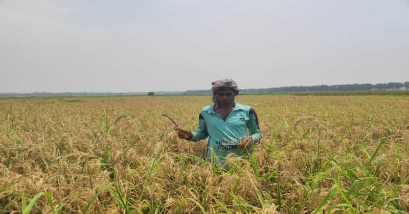 কৃষকের মুখে দুশ্চিন্তার ছাপ