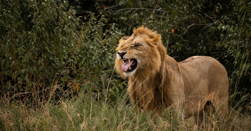 প্রতীকী ছবি