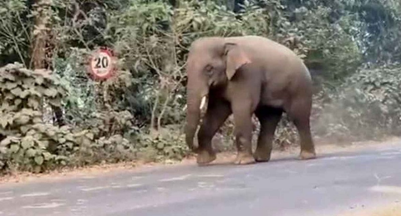সংগৃহীত ছবি