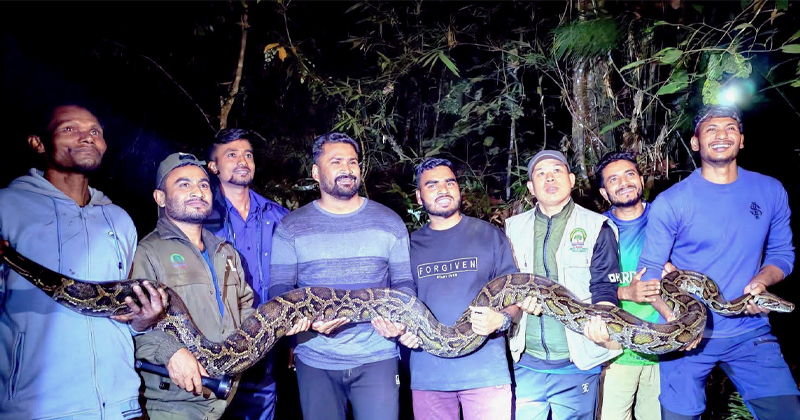 কমলগঞ্জে বিশালাকৃতির অজগর সাপ উদ্ধার করে নিরাপদে অবমুক্ত করেছে বন্যপ্রাণী বিভাগ