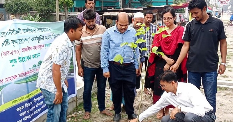 সড়কের ধারে বৃক্ষরোপণ