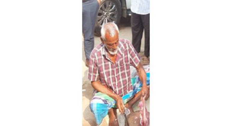 রোগাক্রান্ত গরুর মাংস বিক্রি
