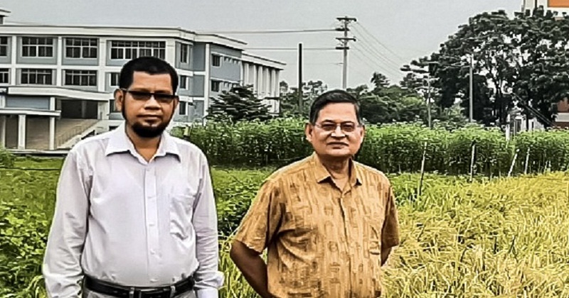 চিকন ধানের জাত ‘জিএইউ ধান ৪’ উদ্ভাবন