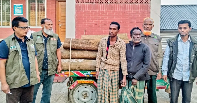 নির্বিচারে বৃক্ষ নিধন