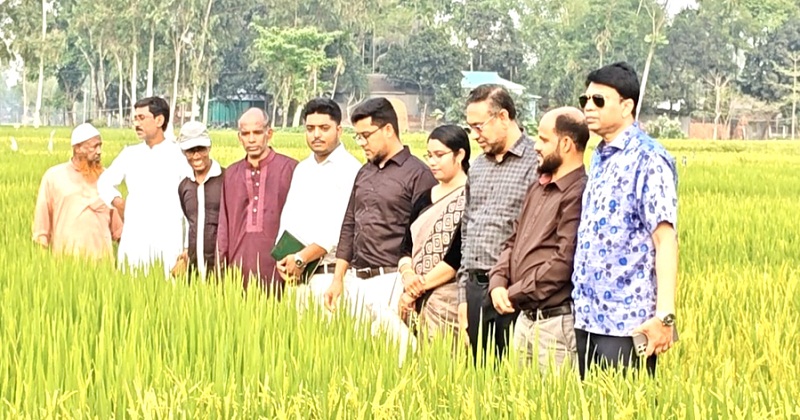 মাঠ প্রদর্শনী পরিদর্শন