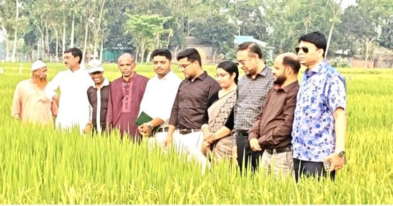 কৃষিকে আধুনিকায়নে কাজ করে যাচ্ছে বাংলাদেশ ধান গবেষণা ইনস্টিটিউট: অতিরিক্ত সচিব মির্জা আশফাকুর রহমান