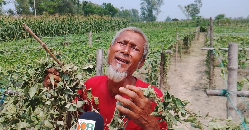 মাথায় হাত ১৯ কৃষকের