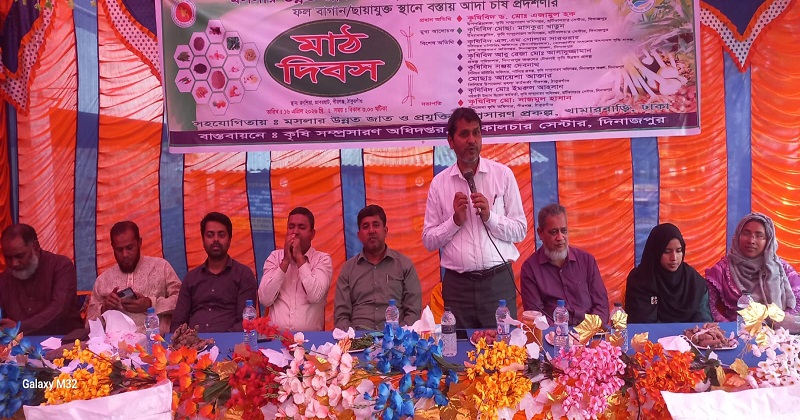 মাঠ দিবস