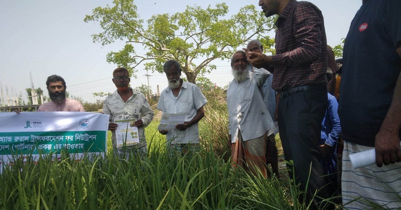 কৃষি অফিসের নানা উদ্যোগ