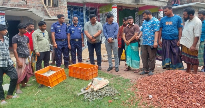 শ্যামনগরে চিংড়ীতে ক্ষতিকর জেলি পুশের দায়ে ভ্রাম্যমান আদালতে জরিমানা।