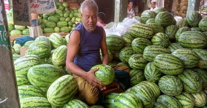 নেছারাবাদ উপজেলার তরমুজের ভাসমান হাট
