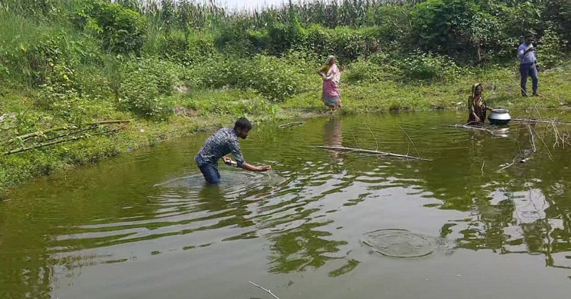 পুকুরে বিষ দিয়ে মাছ মারার অভিযোগ