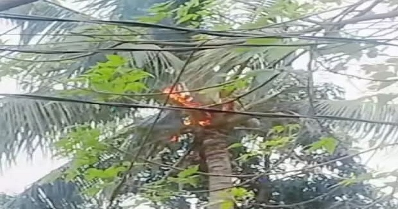 সংগৃহীত ছবি
