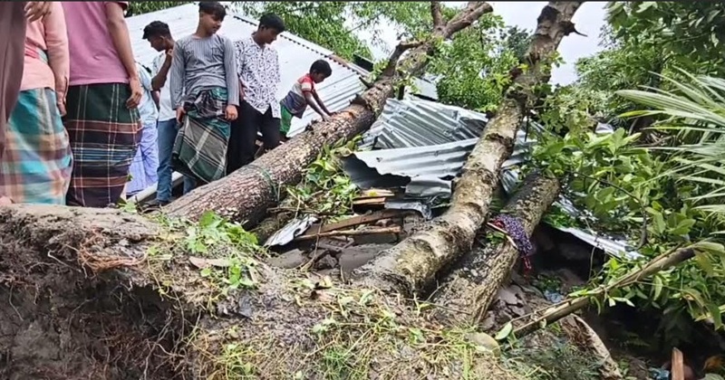 জামালপুরে কালবৈশাখী ঝড়: মা-মেয়ে সহ নিহত ৩