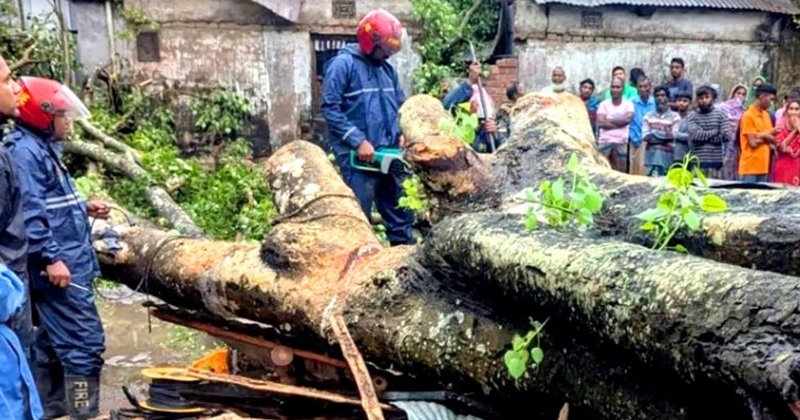 কালবৈশাখীতে লণ্ডভণ্ড বগুড়া: গাছচাপায় ১ জনের মৃত্যু