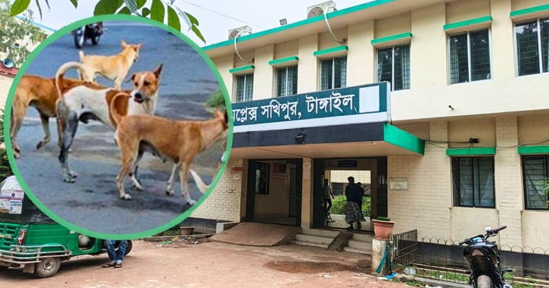 অন্তত ৫৪ জন আহত