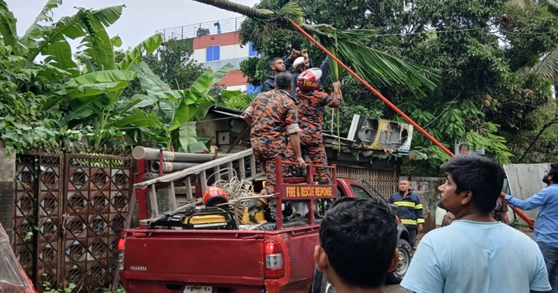 আখাউড়ায় বৈশাখী ঝড়ে ব্যাপক ক্ষয়ক্ষতি