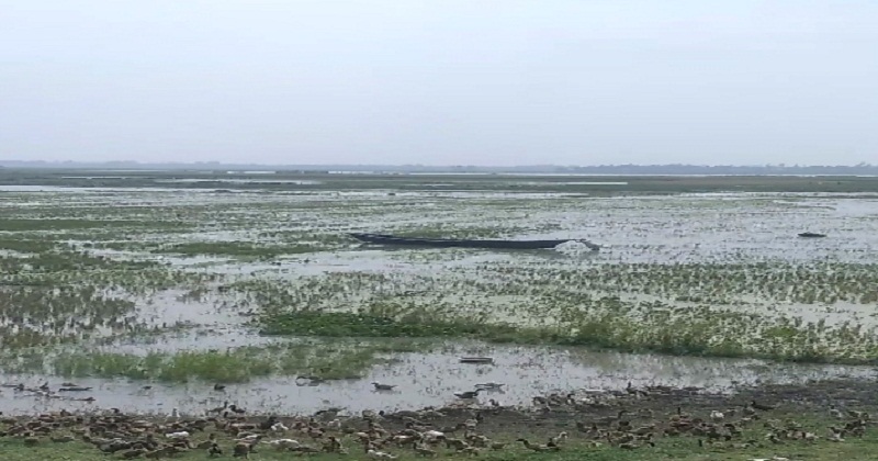 ডুবেছে কিশোরগঞ্জের হাওরের জমি