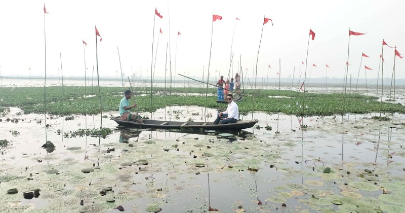 বাড়ছে দেশী মাছ