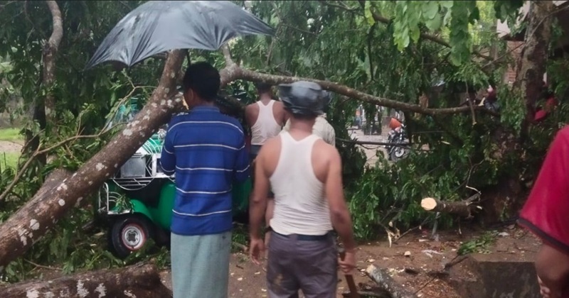 নাইক্ষ্যংছড়িতে টানা ২ দিনের ভারী বর্ষন ও কাল বৈশাখী ঝড়ে রবিশস্যসহ এলাকায় ব্যাপক ক্ষয়ক্ষতি