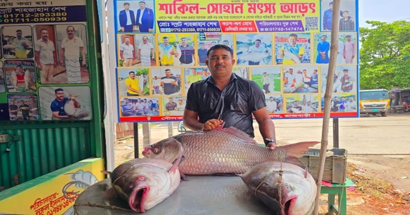 পদ্মার ৩ কাত‌ল সোয়া লক্ষ টাকায়‌ বি‌ক্রি
