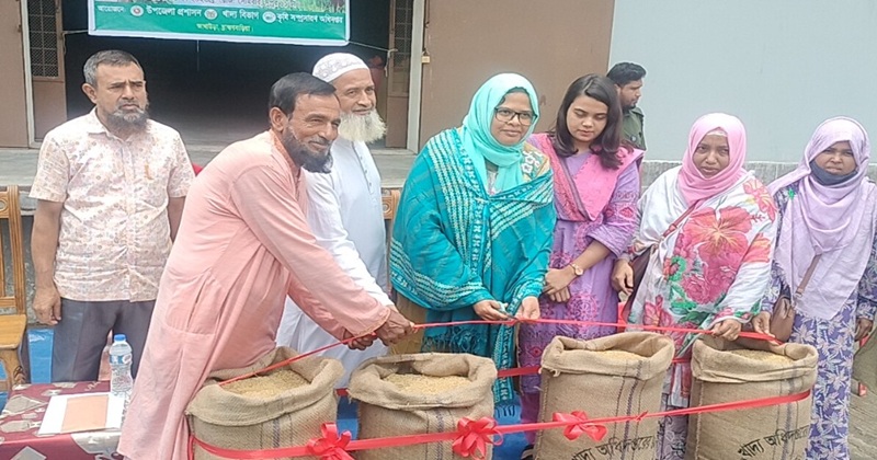 আখাউড়ায় সরকারি মূল্যে ধান সংগ্রহের উদ্বোধন
