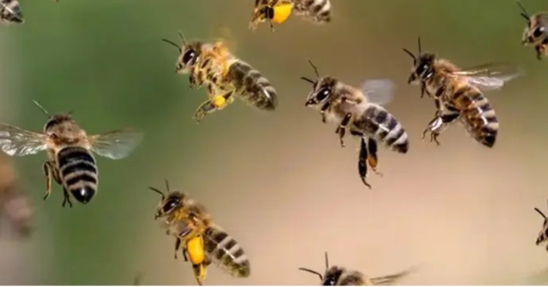 প্রতীকী ছবি