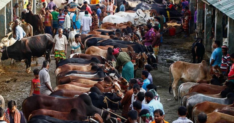কুরাবনির হাট