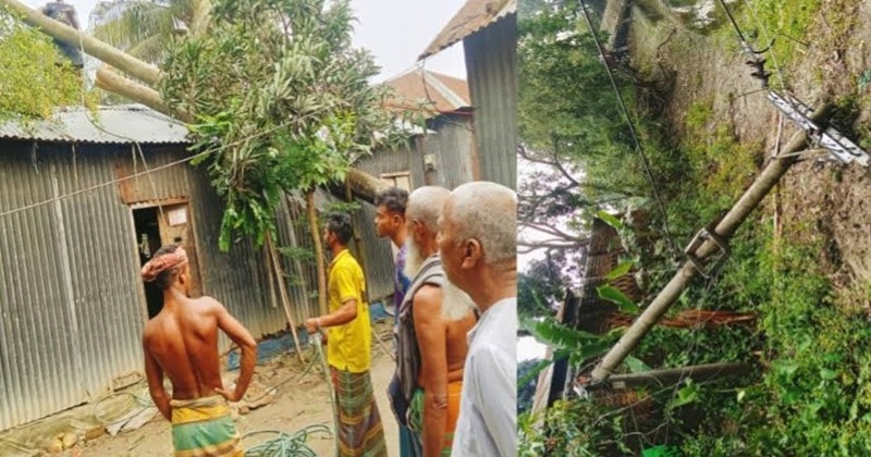 আড়াইহাজারে কাল বৈশাখী ঝড়ে ব্যাপক ক্ষতি, বিদ্যুৎ সরবাহ ব্যহত