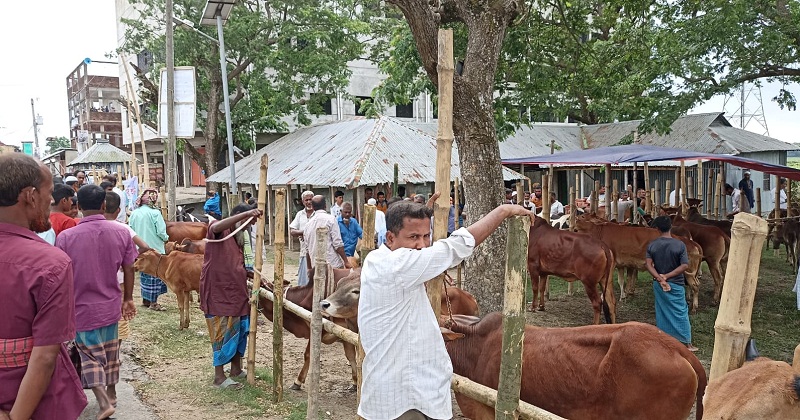 বিপুল রাজস্ব হারাচ্ছে সরকার