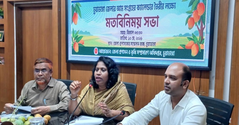 ১৩ মে থেকে বাজারে আসবে চুয়াডাঙ্গার আম
