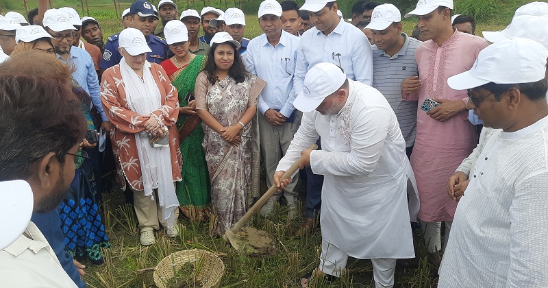 এমপি ফাহিম চৌধুরী