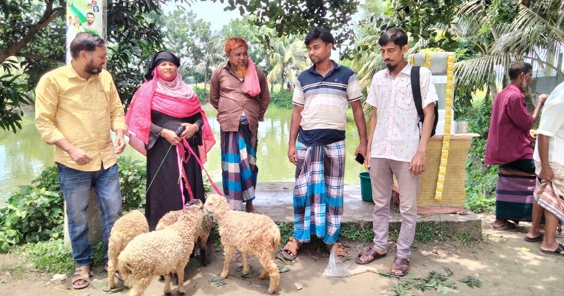 ক্ষতিগ্রস্থ প্রবাসী মানছুরাকে স্বাবলম্বী করতে ওকাপের ভেড়া প্রদান