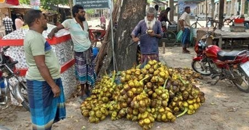 পাইকগাছায় গরমে তাল শাঁসের চাহিদা বেড়েছে