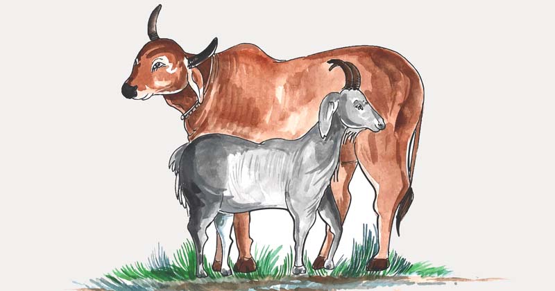 প্রতীকী ছবি