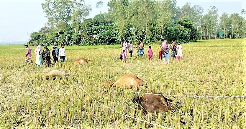 ছবি: প্রতিনিধি