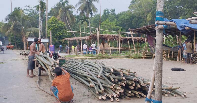 ছবি: প্রতিনিধি