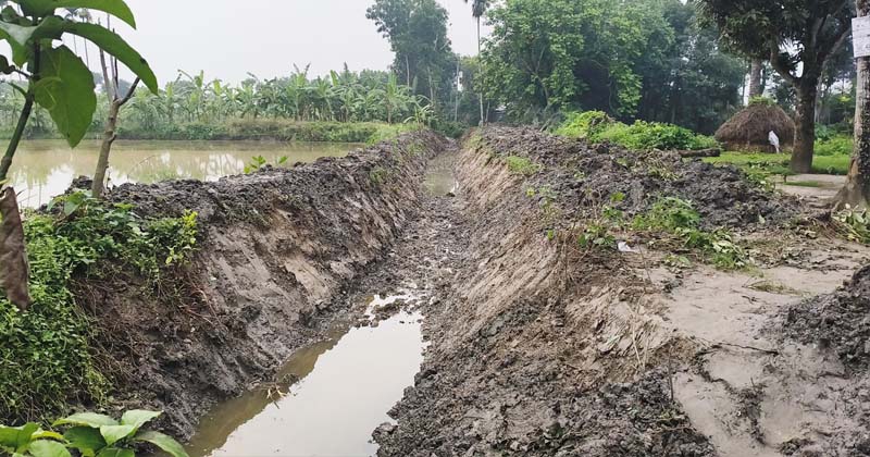 ছবি: প্রতিনিধি