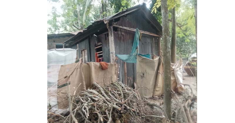 ছবি: প্রতিনিধি