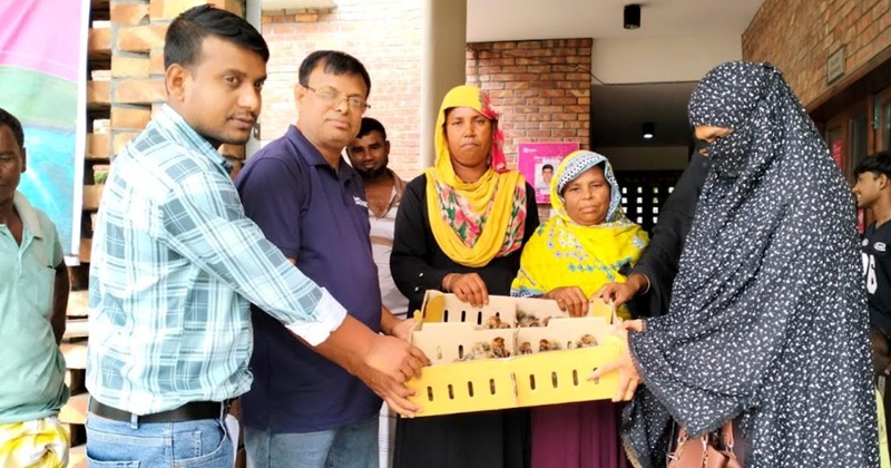মিঠাপুকুরে ব্র্যাকের উদ্যোগে ১৫০ টি দরিদ্র পরিবারের মাঝে হাঁস-মুরগীর বাচ্চা বিতরণ