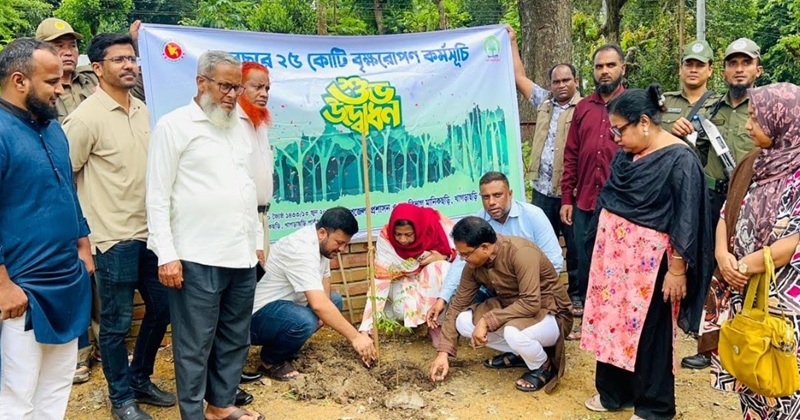 মানিকছড়িতে বৃক্ষরোপণ কর্মসূচীর উদ্বোধন