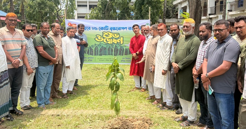 চৌদ্দগ্রামে বৃক্ষরোপণ কর্মসূচির উদ্বোধন
