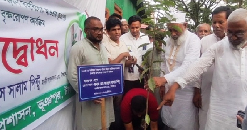 সংসদ সদস্য এডভোকেট আব্দুস সালাম পিন্টু